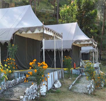 Camp Nirvana Yamunotri